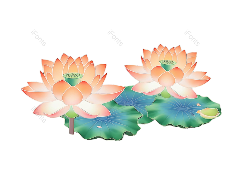 中国风图片,元素元素,荷花PNG,夏天免抠素材